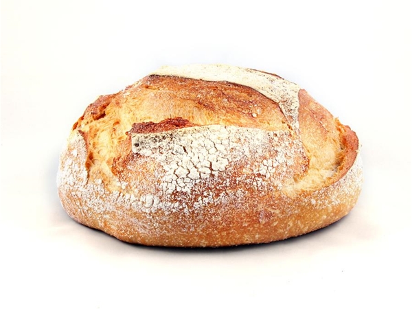 Brood